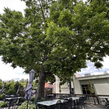 The Epicurean - Back yard eating - French Near Me - Niagara-On-the-Lake, Ontario The Epicurean - Back yard eating - French Near Me - Niagara-On-the-Lake, Ontario