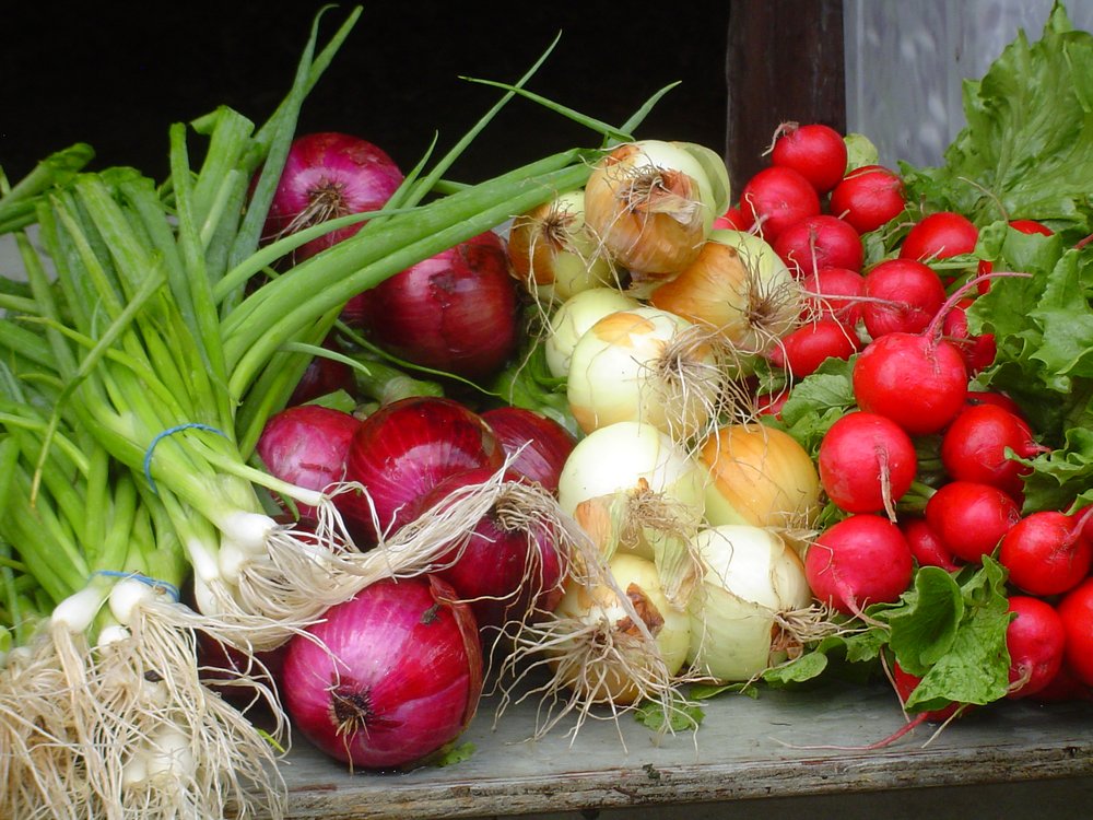 Putnam Valley Farmers Market Logo