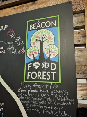 Beacon Food Forest by null