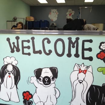 One Love Pet Salon - Pet Groomers Near Me - Las Vegas, Nevada One Love Pet Salon - Pet Groomers Near Me - Las Vegas, Nevada