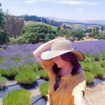 Monte-Bellaria Di California - Farms Near Me - Sebastopol, California Monte-Bellaria Di California - Farms Near Me - Sebastopol, California