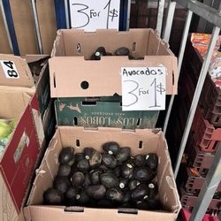 Just Bargain Stores