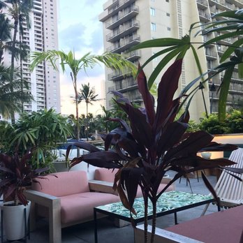 Hideout - Bars Near Me - Honolulu, Hawaii Hideout - Bars Near Me - Honolulu, Hawaii