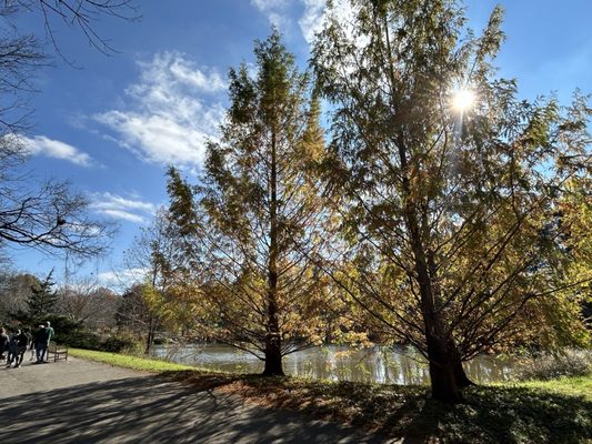 Bernheim Forest and Arboretum by null