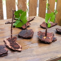 The Childrens Garden Preschool Inc - Crafts are process oriented and give children meaning and connection through creative expression ~