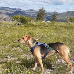 Horsetooth Mountain Open Space