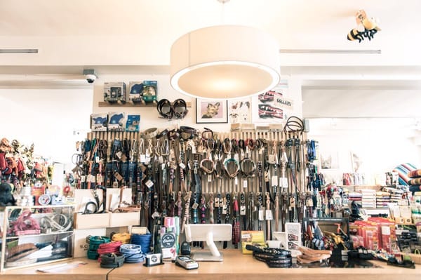 Bruno's Dog & Cat Boutique by null