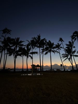 Kaimana Beach by null