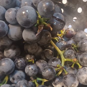 JP’s Farmers Market - Concord grapes. - Fruits & Veggies Near Me - Hunker, Pennsylvania JP’s Farmers Market - Concord grapes. - Fruits & Veggies Near Me - Hunker, Pennsylvania