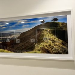 Kaiser Permanente Market Street Medical Offices - Beautiful framed pictures from local photographer are a very nice touch.
