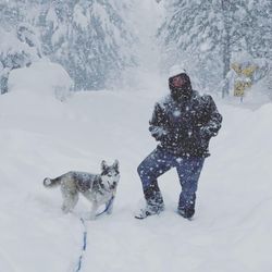 Rhode DogZ - Husky in Snowstorm.