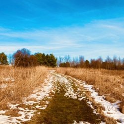Gwynedd Preserve - Natural Lands