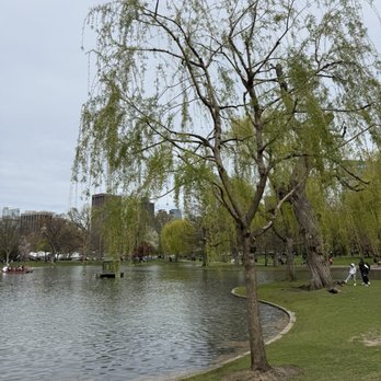 Boston Public Garden - Serene - Parks Near Me - Boston, Massachusetts Boston Public Garden - Serene - Parks Near Me - Boston, Massachusetts