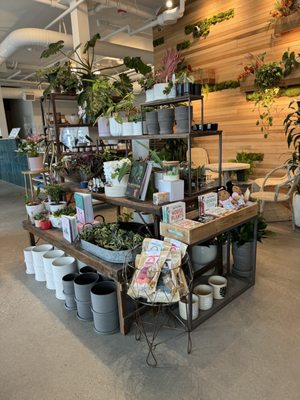 Shop Halo Halo by null