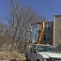 91Tree 81Sticks Tree Service
