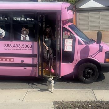 Precious Pet Care - Yoshi coming home from the Magic pink bus! - Pet Sitting Near Me - San Diego, California