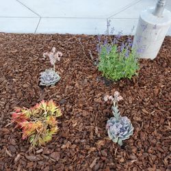 Green Spaces Landscaping