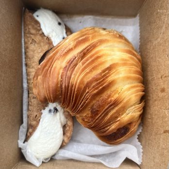 Isgro Pastries - Sfogliatella and Ricotta Cannoli - Bakeries Near Me - Philadelphia, Pennsylvania Isgro Pastries - Sfogliatella and Ricotta Cannoli - Bakeries Near Me - Philadelphia, Pennsylvania