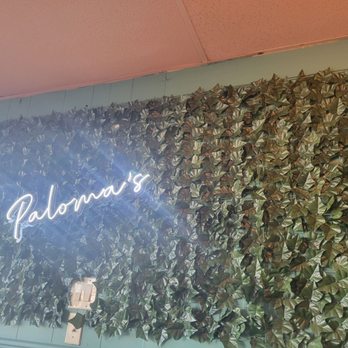 Paloma’s Restaurant - a wall covered with leaves - Latin American Near Me - Old Orchard Beach, Maine Paloma’s Restaurant - a wall covered with leaves - Latin American Near Me - Old Orchard Beach, Maine