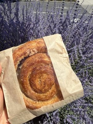 Market of Choice Bend by null