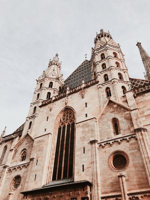 St. Stephen's Cathedral by null