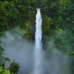 Aloha Aina Tours