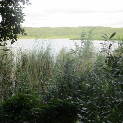 Schmachter See
