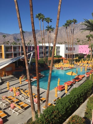 The Saguaro Palm Springs by null