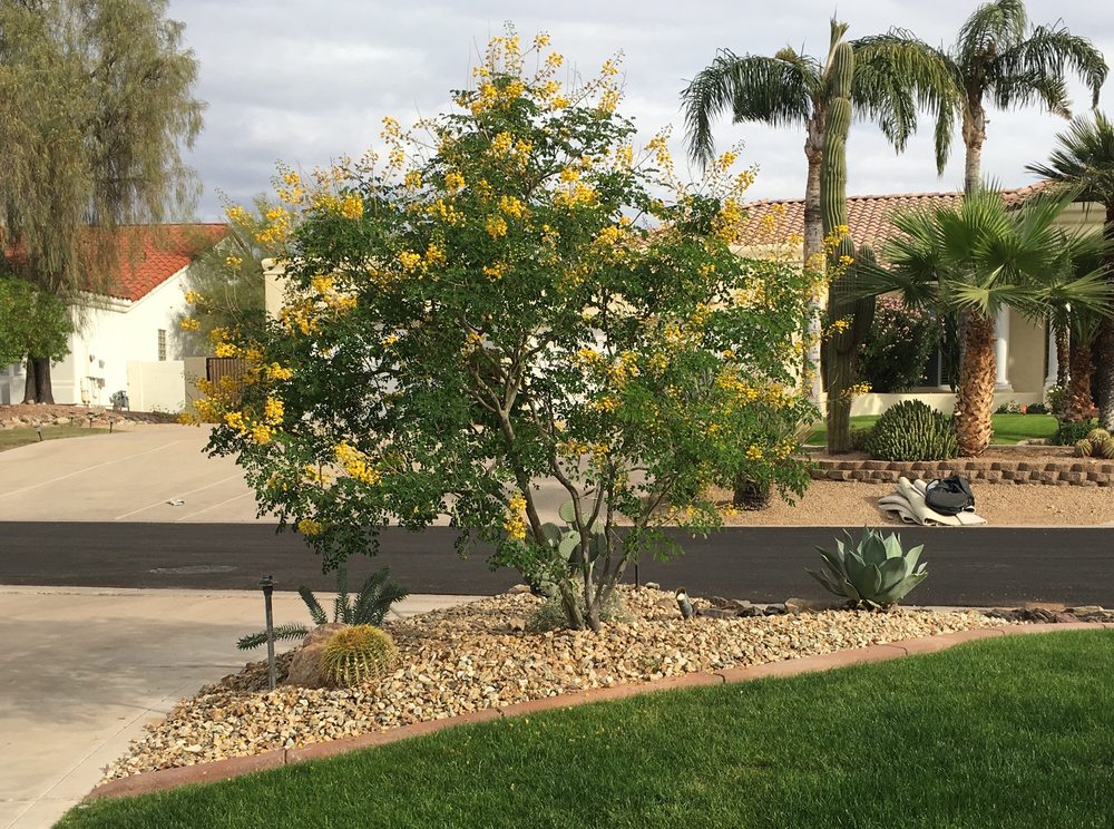 BLOOMING VALLEY LANDSCAPE Updated August 2024 10 Photos Phoenix, Arizona Landscaping