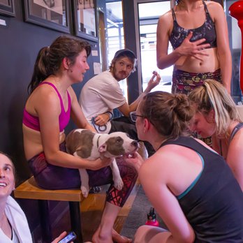 Breathe Cambridge - Pups + Pilates Fundraiser to raise money for Last Hope K9 - Yoga Near Me - Cambridge, Massachusetts Breathe Cambridge - Pups + Pilates Fundraiser to raise money for Last Hope K9 - Yoga Near Me - Cambridge, Massachusetts