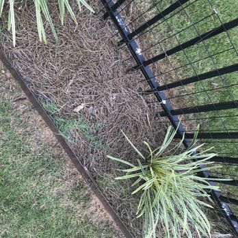 Nature Scapes - This is how they "edge" they burn the grass competely around the edge of the yard - 6" - 10" in spots - Landscaping Near Me - Lilburn, Georgia Nature Scapes - This is how they "edge" they burn the grass competely around the edge of the yard - 6" - 10" in spots - Landscaping Near Me - Lilburn, Georgia
