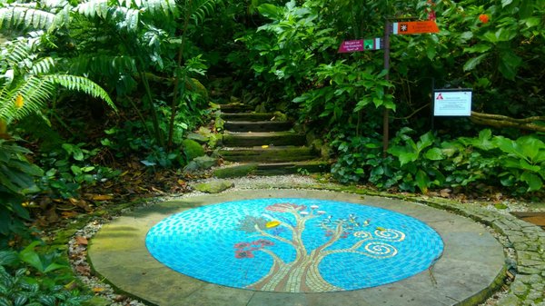 Tropical Spice Garden by null