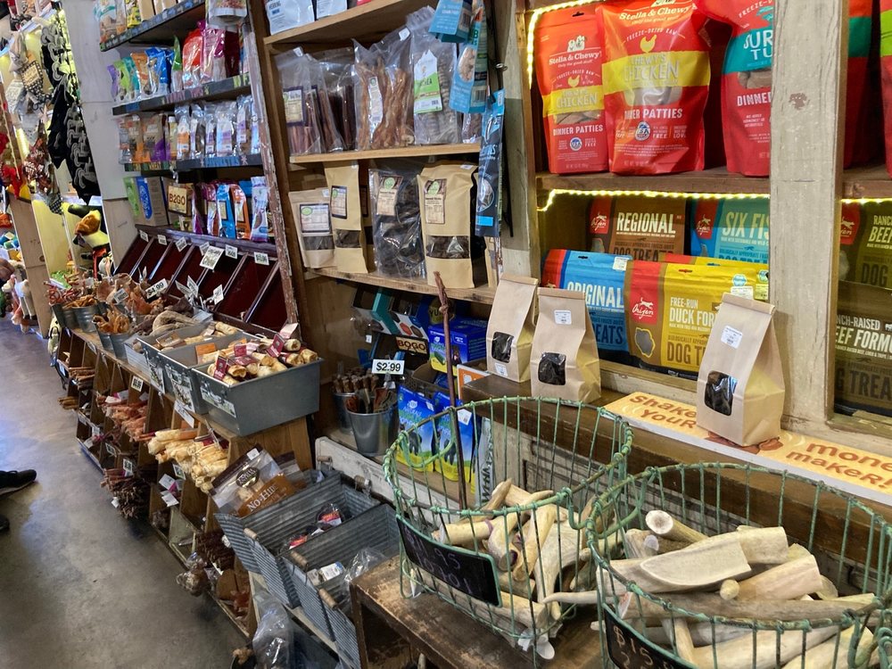 DOG DOG CAT 218 Photos & 185 Reviews 4000 Lake Tahoe Blvd, South Lake Tahoe, California