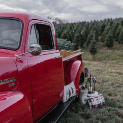 Grupp's Christmas Trees - Vintage red truck setup at their farm