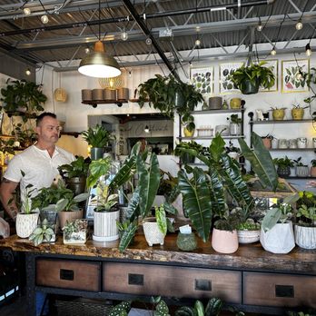Forage and Cultivate - Nurseries & Gardening Near Me - Mount Dora, Florida Forage and Cultivate - Nurseries & Gardening Near Me - Mount Dora, Florida
