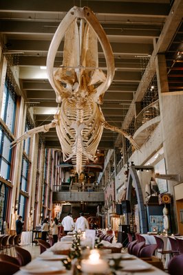 Grand Rapids Public Museum by null