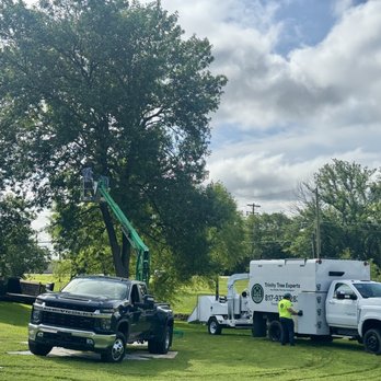 Trinity Tree Experts - Tree removal - Tree Services Near Me - Alvarado, Texas