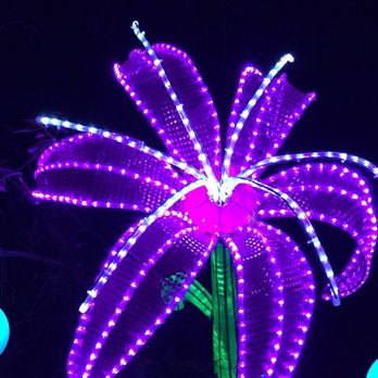 Brookgreen Gardens - As the sun sets the lights take on different hues... - Museums Near Me - Murrells Inlet, South Carolina Brookgreen Gardens - As the sun sets the lights take on different hues... - Museums Near Me - Murrells Inlet, South Carolina