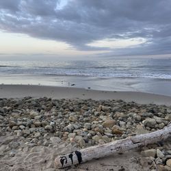 Carpinteria City Beach - Beach