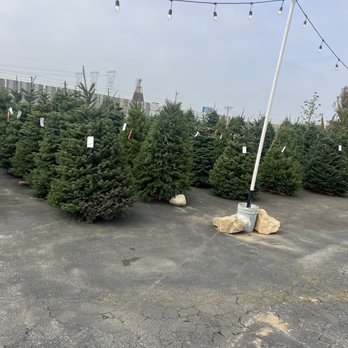 Maranatha Ace Hardware - Christmas Trees - Hardware Stores Near Me - Bakersfield, California Maranatha Ace Hardware - Christmas Trees - Hardware Stores Near Me - Bakersfield, California