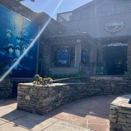 Exterior photo of Wyland Galleries - Laguna Beach, California Exterior photo of Wyland Galleries - Laguna Beach, California