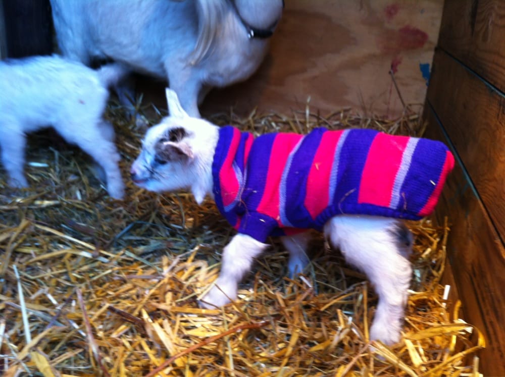 WANDERLUST FARM Updated September 2024 55 Hanks Lp Rd, Pittsboro