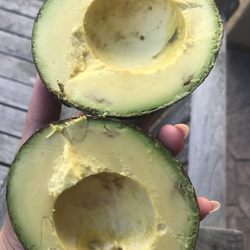 Pala Rey Ranch - Avocado was great