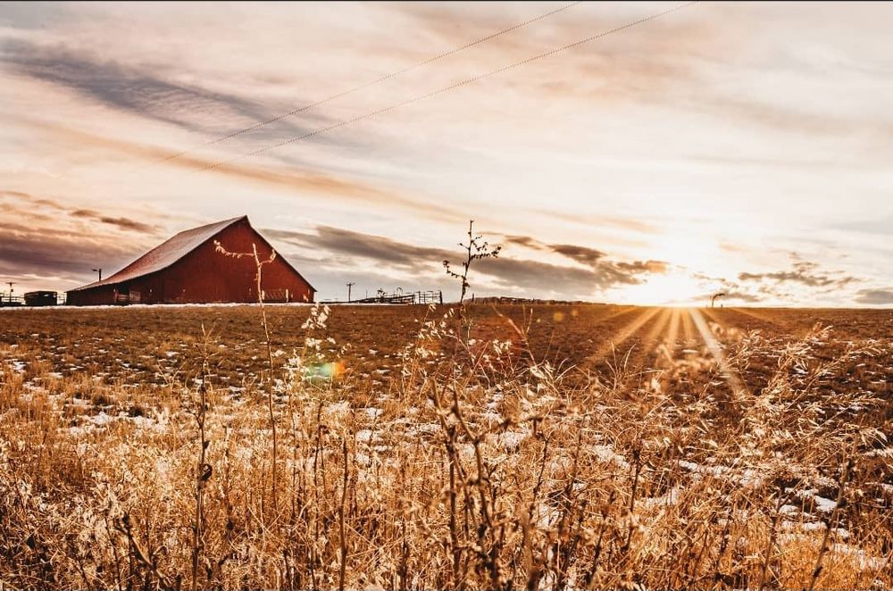 VALERIE ROSE PHOTOGRAPHY Kamiah, Idaho Event Photography Phone