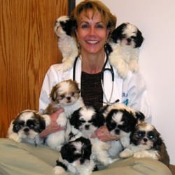 Canyon View Animal Hospital - Dr. Bumpers is surrounded by puppy love.