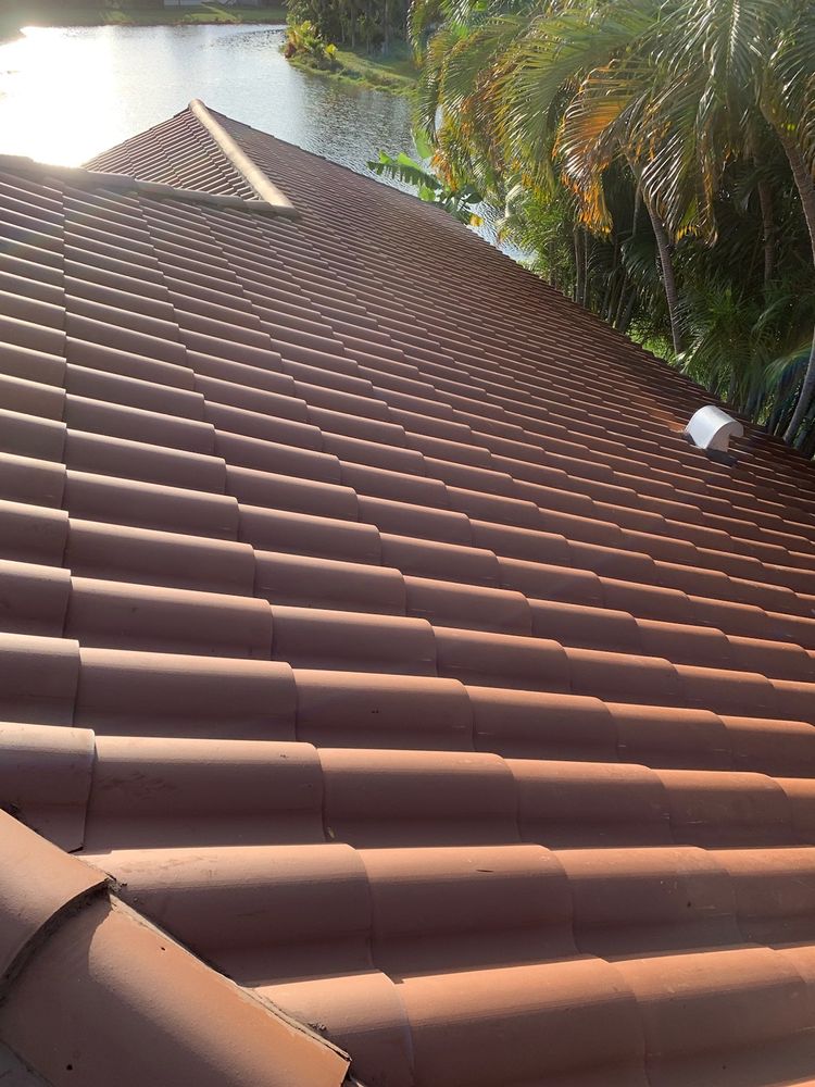 Slide of Mr. & Mrs. Shingles Roofing