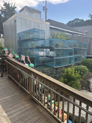 Island Lobster Company by null