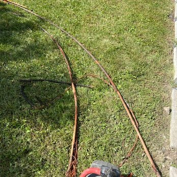 Olivio Irrigation Services - The roots found IN the
drain-pipe! - Irrigation Near Me - Encinitas, California Olivio Irrigation Services - The roots found IN the
drain-pipe! - Irrigation Near Me - Encinitas, California