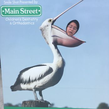 Zoo Miami - I had too much fun with the signs around the park! - Zoos Near Me - Miami, Florida Zoo Miami - I had too much fun with the signs around the park! - Zoos Near Me - Miami, Florida