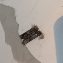 old rusty dirty razor blade found under my fridge. old rusty dirty razor blade found under my fridge.